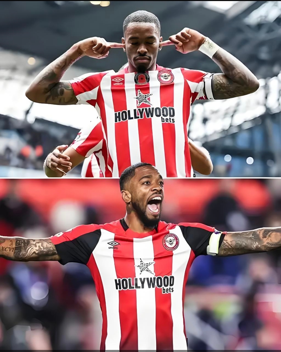 包含纽卡斯尔联主场平局,英超保级形势仍难预料的词条 包含纽卡斯尔联主场平局,英超保级形势仍难预料的词条