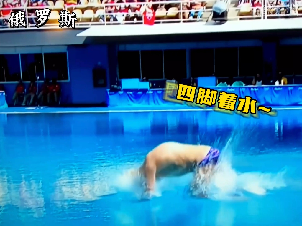 开云体育官网-挪威跳水选手高难度动作,震撼全场