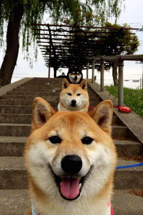 双城记,在米兰的绝杀之夜与洛杉矶的逆转狂潮中,我们共享同一种体育心跳