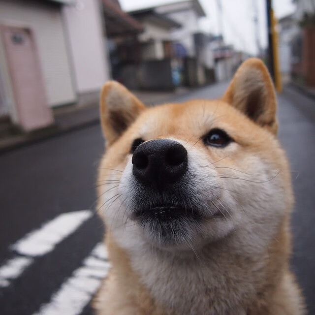 烈焰焚磐石，太阳抢七鏖战终结马刺时代，纳什血染战袍的最后一舞