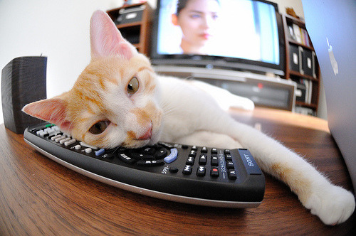 无声惊雷，克莱·汤普森在总决赛夜晚的隐身统治力