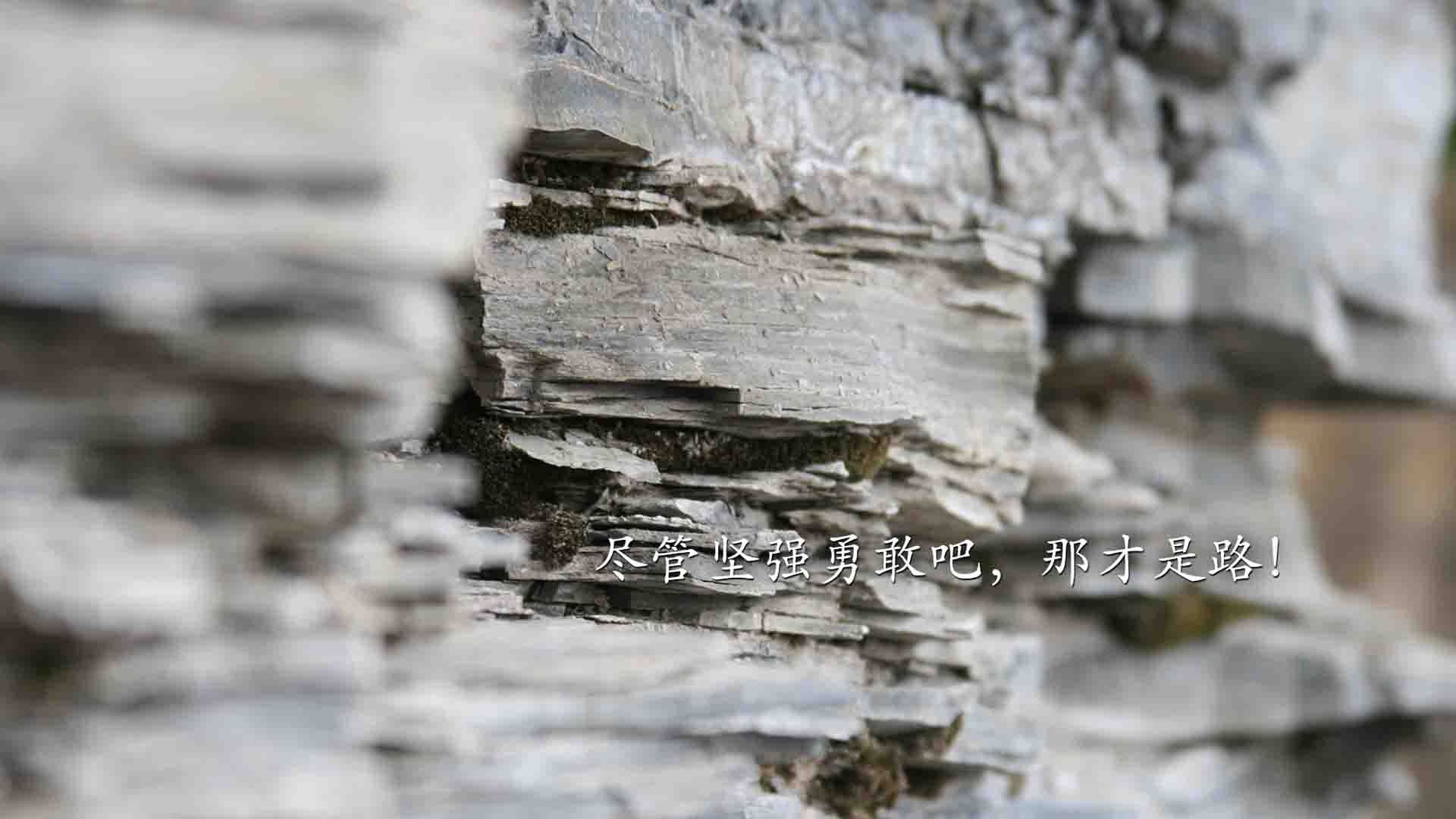 跨界传奇,詹姆斯助浙江队上演绝杀奇迹,步行者饮恨赛场