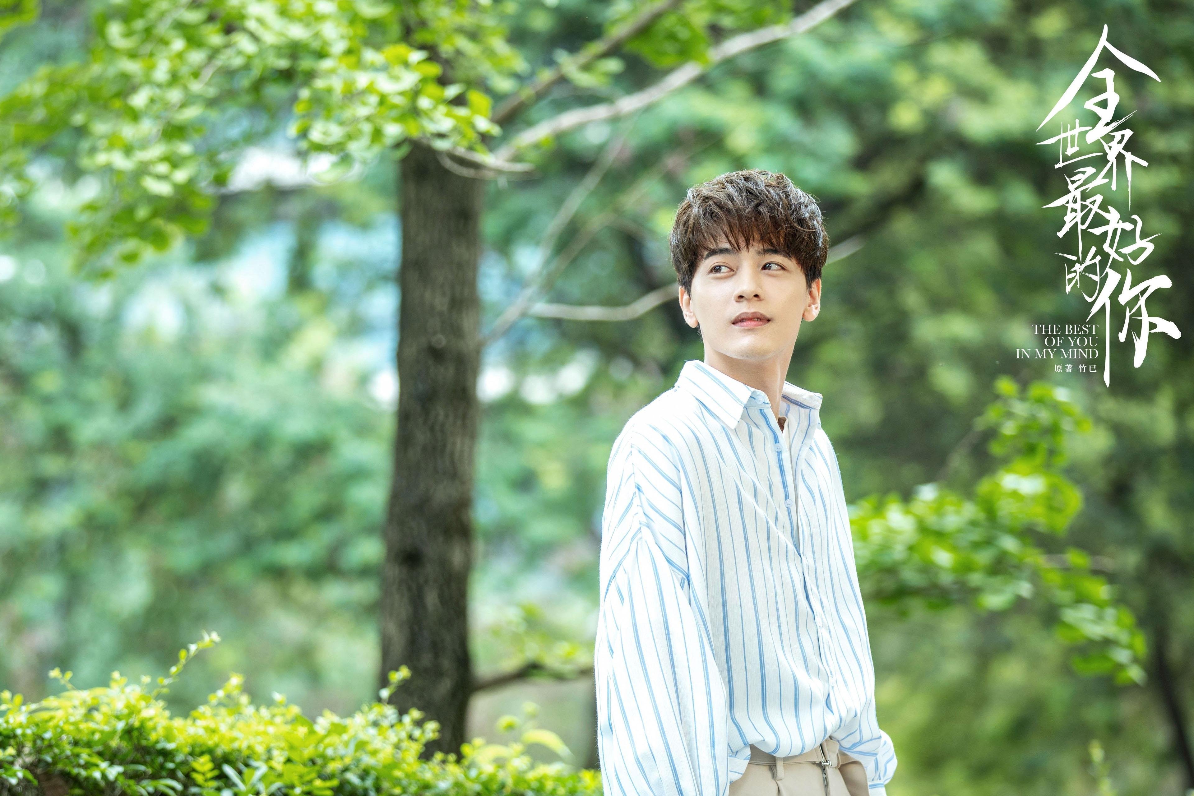 双城记,从明尼苏达的狼群到马德里的星光