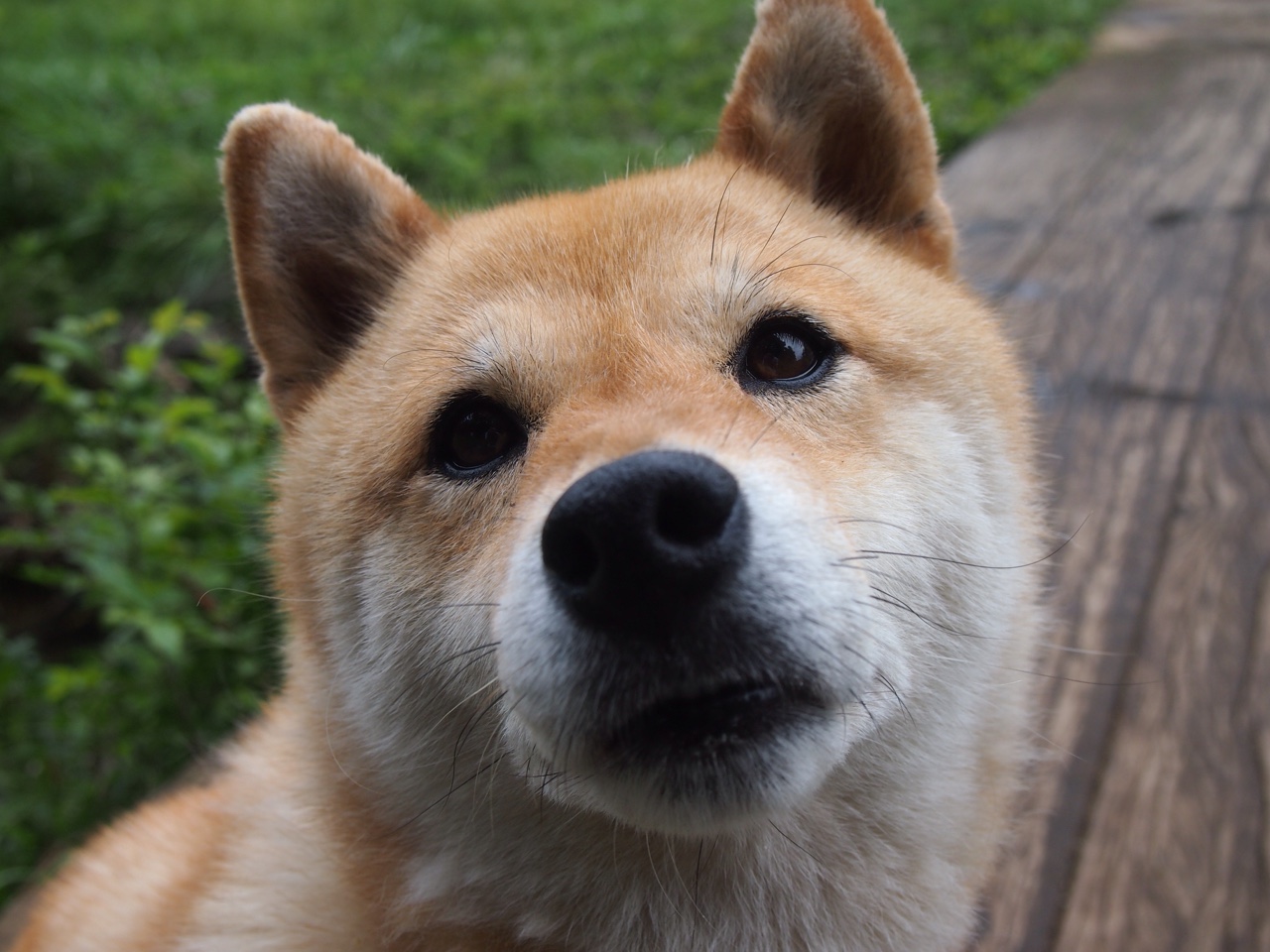 跨界对决中的独角兽，切特存在感拉满，奇才与新疆队激战背后的全球篮球新叙事