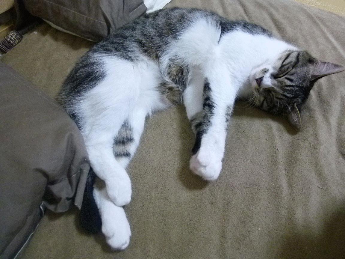 开云体育中国-王牌对王牌,贝恩生死时速率火箭射落掘金