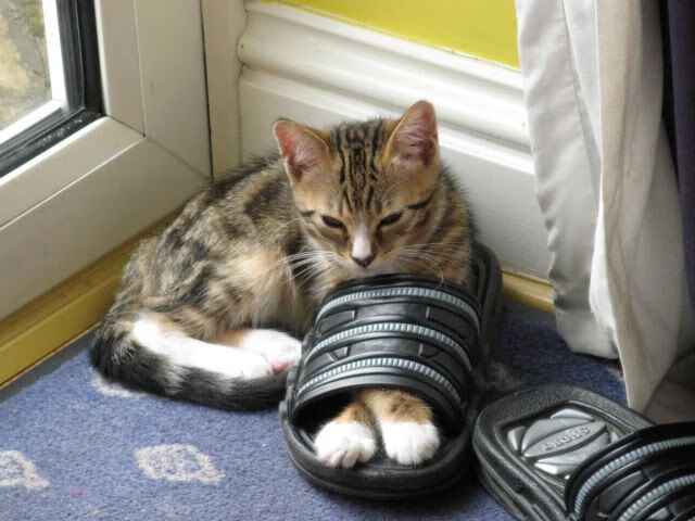 王牌对王牌，贝恩生死时速率火箭射落掘金