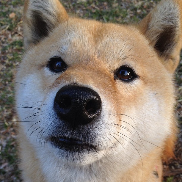 双塔奇谋，塔图姆惊天爆发背后的黄蜂精密战术如何锁死浙江？