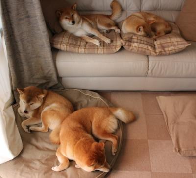 德罗赞30分导演惊天逆转，开拓者终结辽宁男篮不败金身