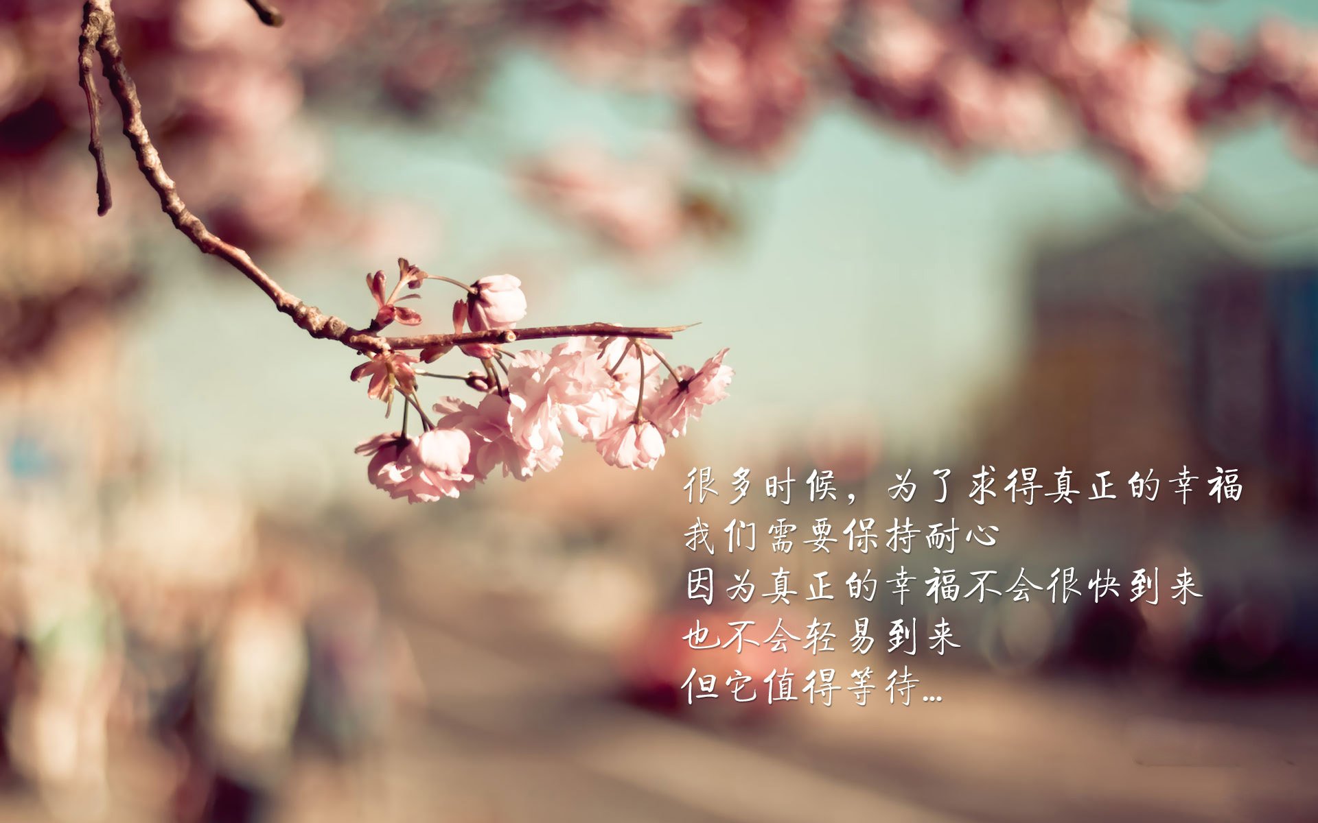 开云下载-温布利之夜,2026复仇之火与橙衣军团最后的叹息之墙